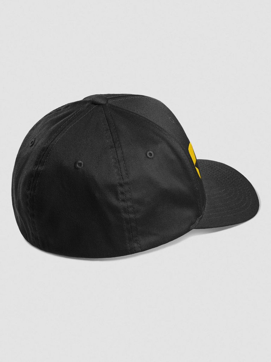 Country Song Teacher Flex Fit Hat product image (6)