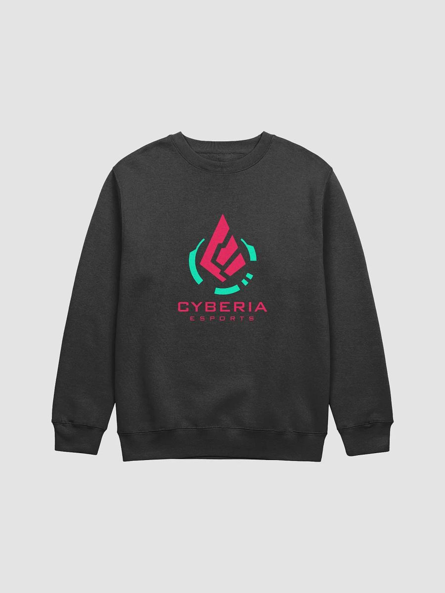 Cybermium Crewneck Sweatshirt product image (2)