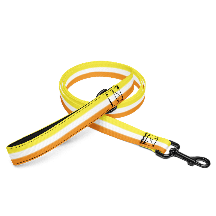 Maverique Pride Flag Pet Leash product image (1)