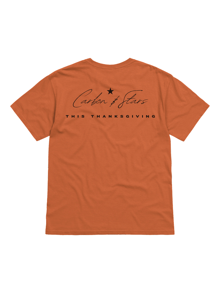 Plain Thanksgiving _ T Shirt product image (2)