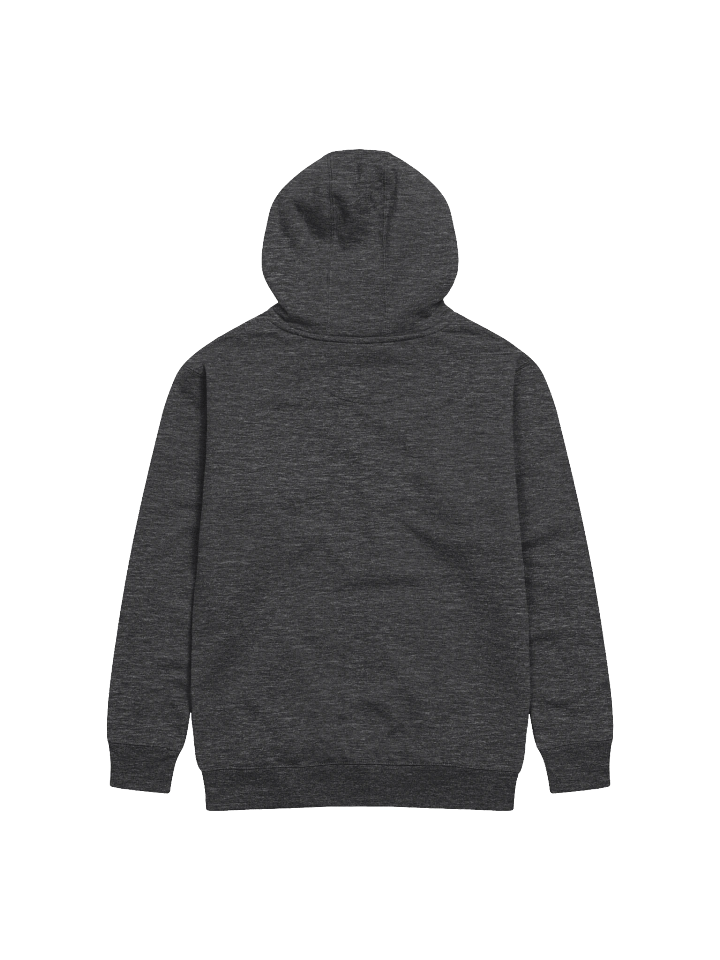 Spring Break 2003 Hoodie product image (2)