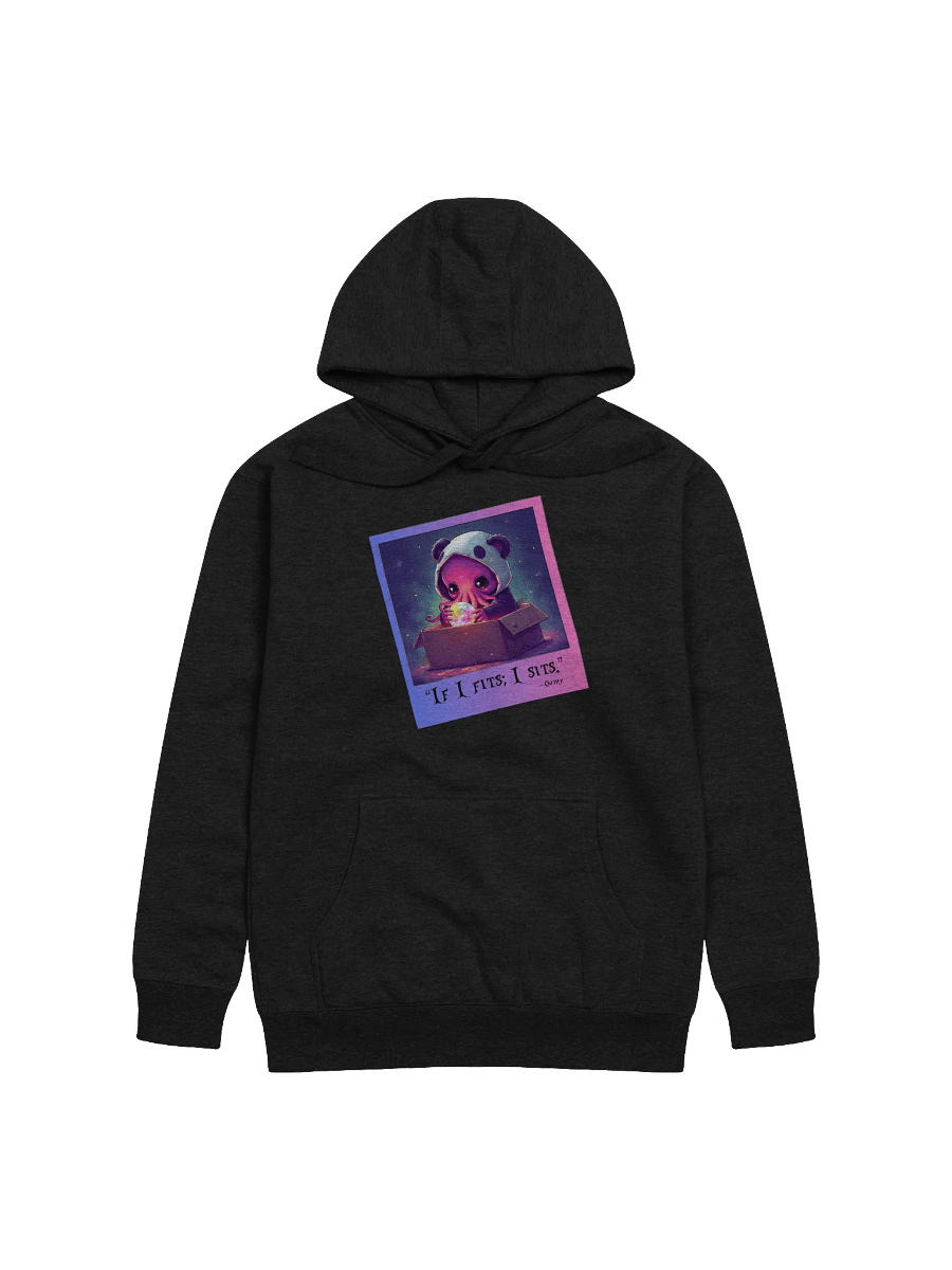If I Fits; I Sits! Hoodie product image (85)