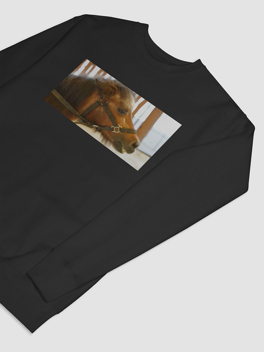 Majestic Equine Halter Sweatshirt product image (7)