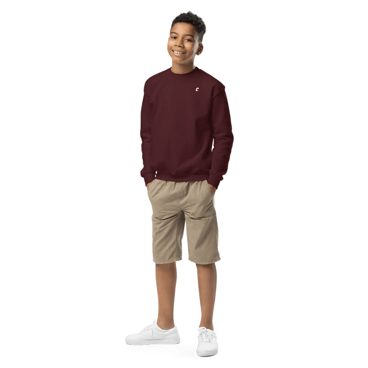 Kids Crew Neck Sweatshirt product image (1)