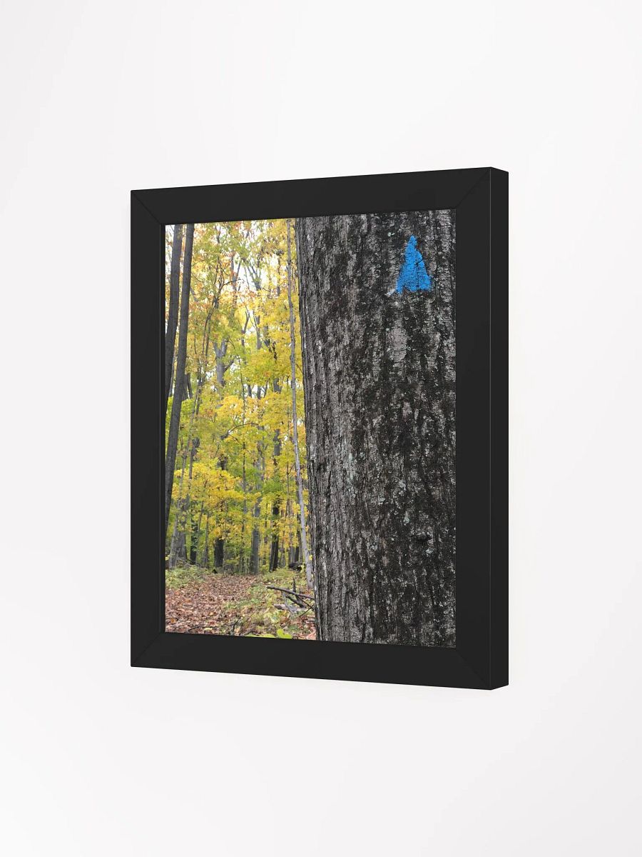 Up Ahead Fall Forest High Quality Matte Poster product image (3)