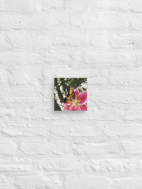 Butterfly on Pink Tiger Lily Canvas Print product image (2)