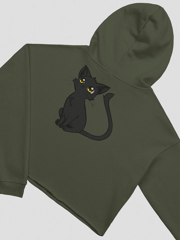 DaVinky Cropped Hoodie product image (1)