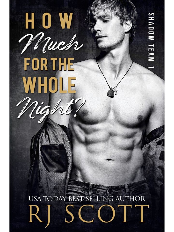 How Much For The Whole Night? (Shadow Team 1) - paperback product image (2)