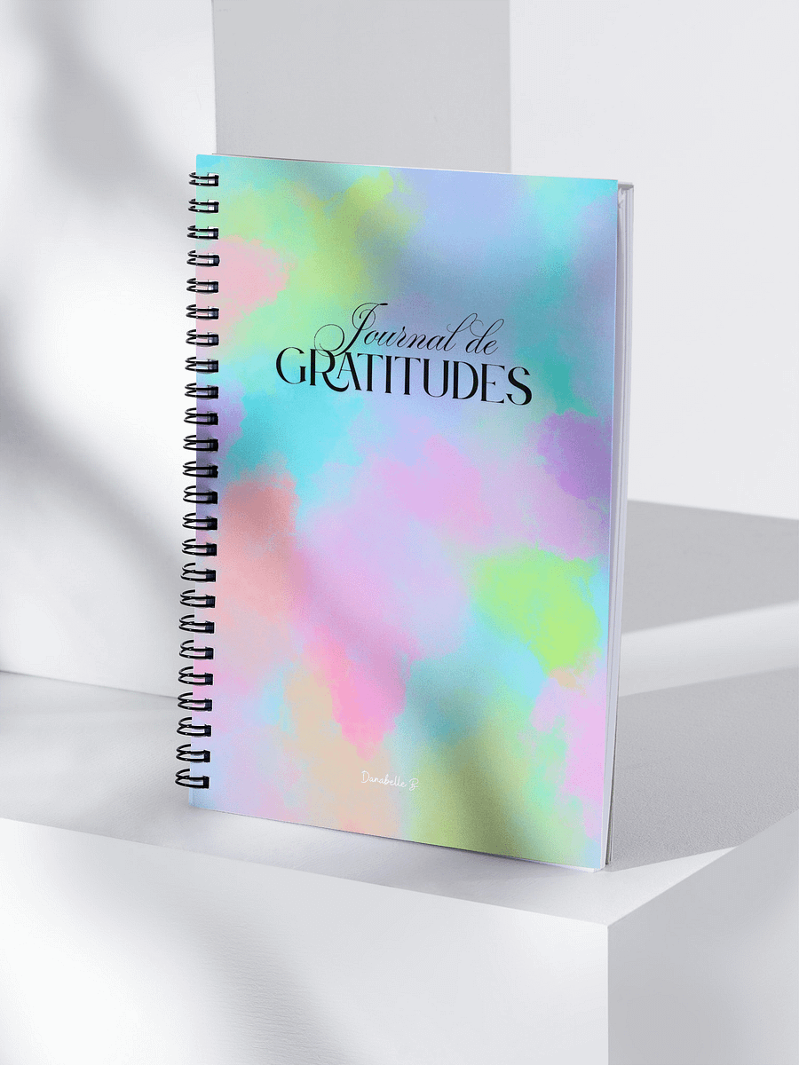 Journal de Gratitudes - Carnet Inspirant - NoteBook product image (4)