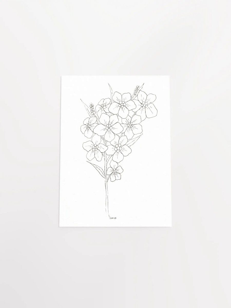 Forget-Me-Not Line Art Poster product image (4)