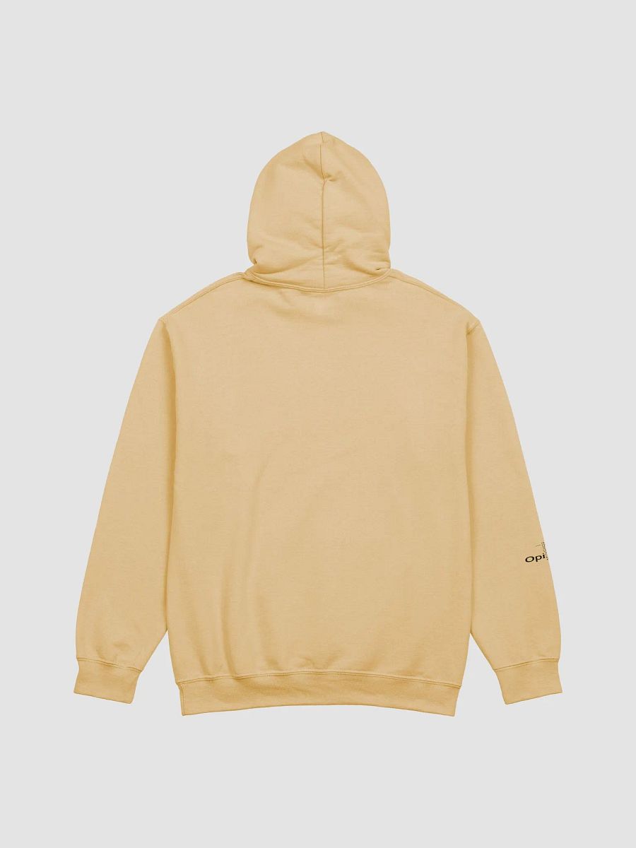 Conspiracies Are Real - Santa Claus - Gildan Classic Hoodie product image (28)