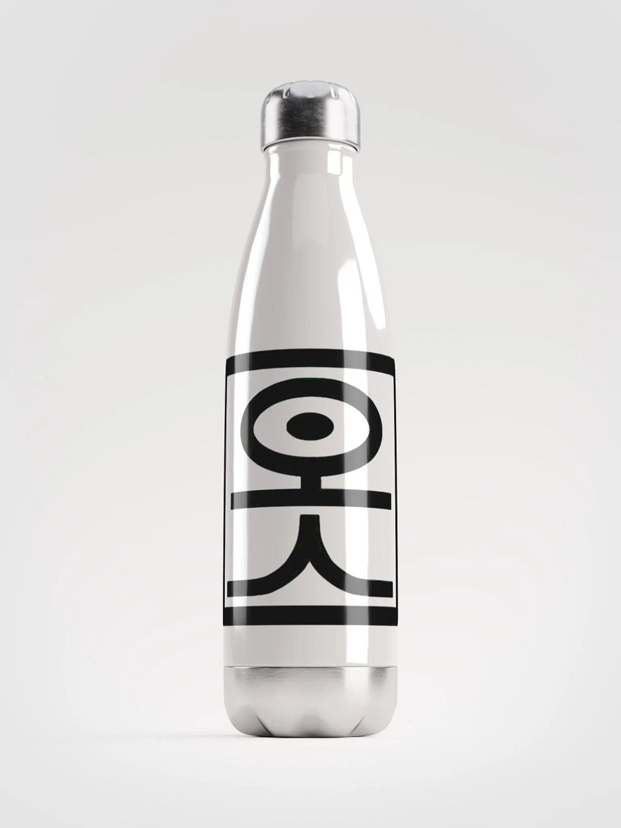 Stainless steel water bottle product image (1)