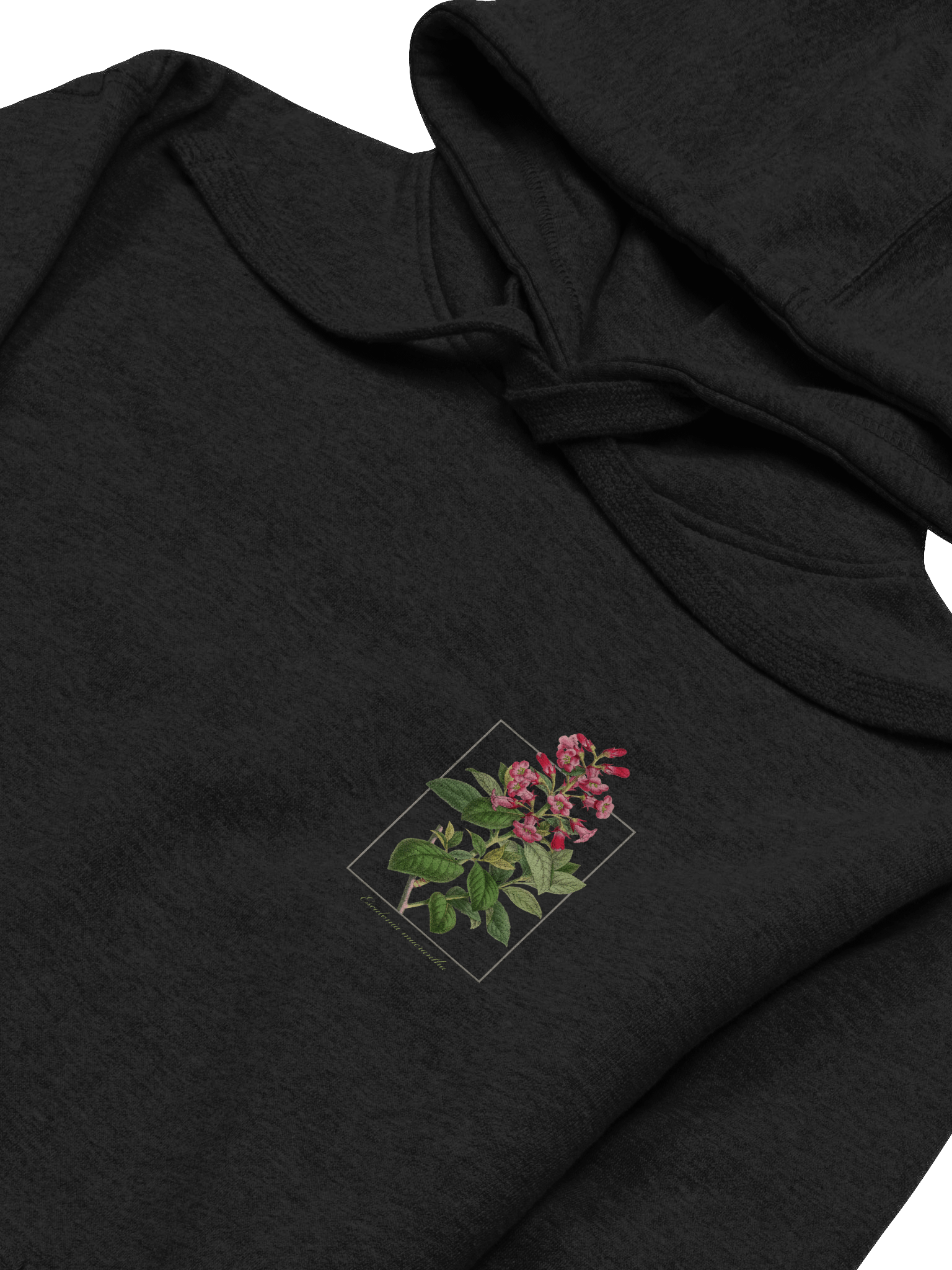 Escalonia macrantha Premium Adult Unisex Hoodie product image (4)