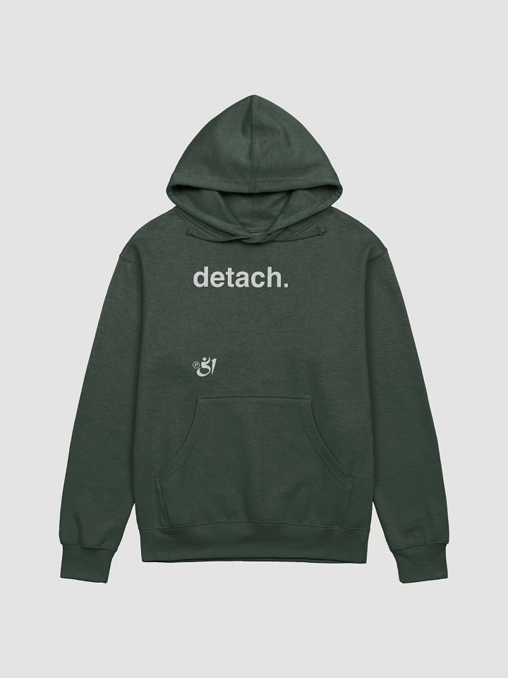 detach. hoodie product image (1)