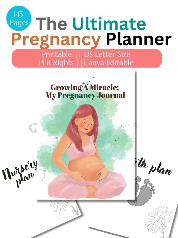 Ultimate Pregnancy Planner Printable in Canva product image (1)