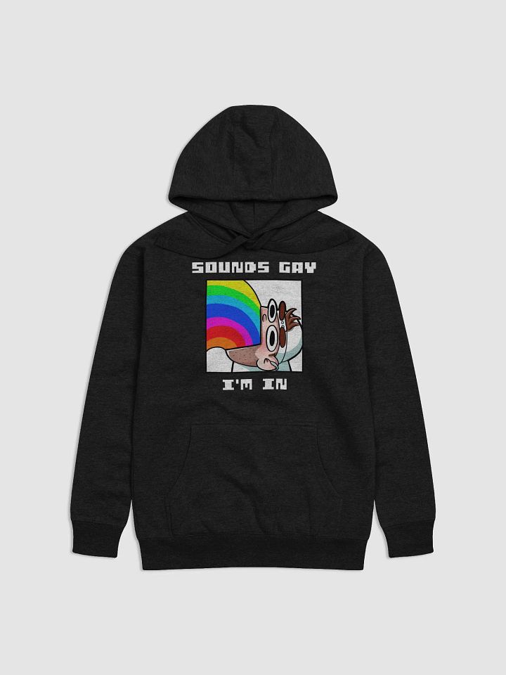 Sounds Gay I'm In Alt Premium Hoodie product image (1)