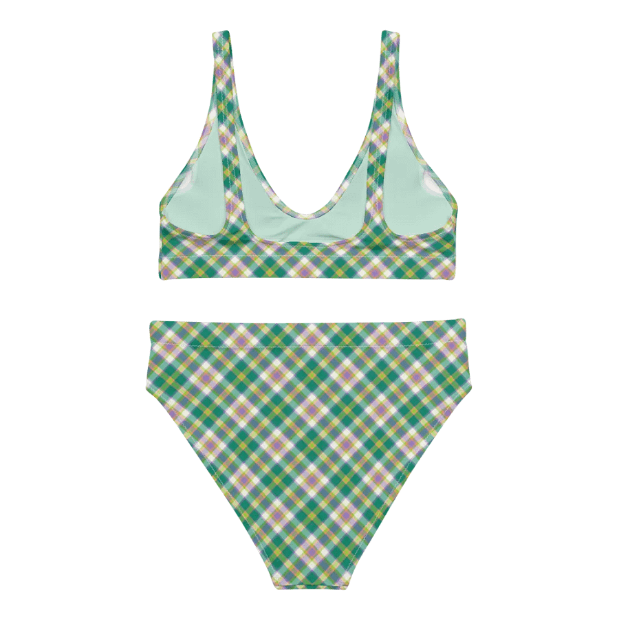 Seafoam and Purple Plaid Bikini product image (4)