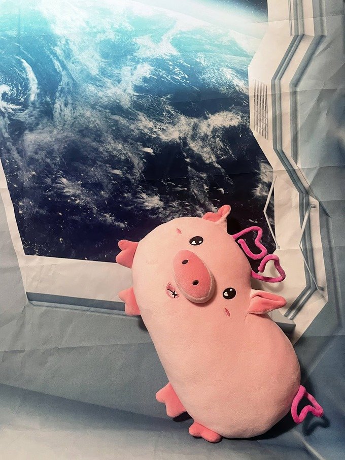 PuuPuu The Space Pig Plush - 35cm product image (2)