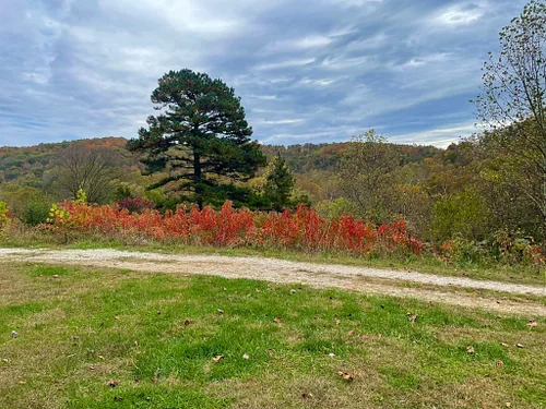 Scenes from Autumn in Appalachia, the mountain where I grew up.