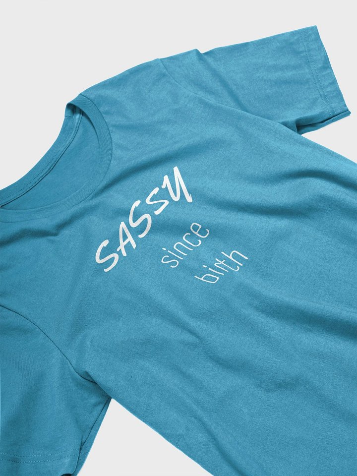 SASSY product image (2)