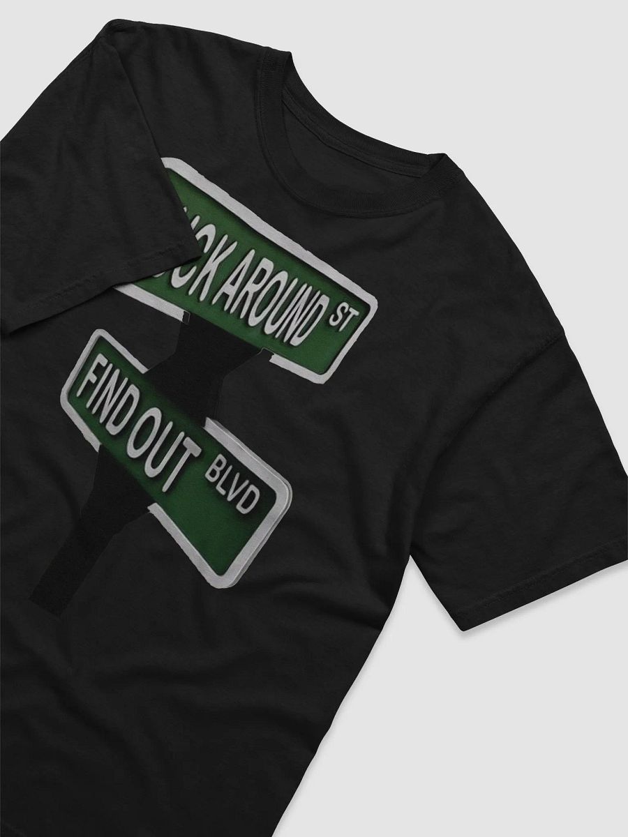 Intersection of Fuck Around St. & Find Out Blvd. product image (3)