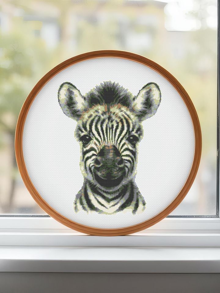 Baby Zebra product image (2)