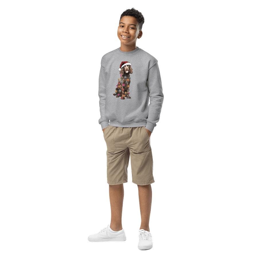 Funny Christmas Boykin Spaniel Youth Sweatshirt product image (1)
