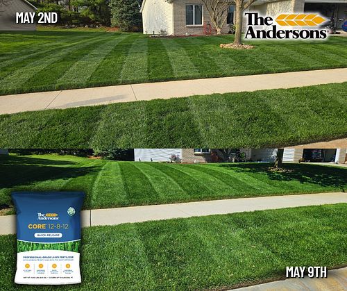 The before/after of the Core 12-8-12 fertilizer from @andersonslawn. I applied this at 3.6lbs per 1,000 sqft (low rate on the...