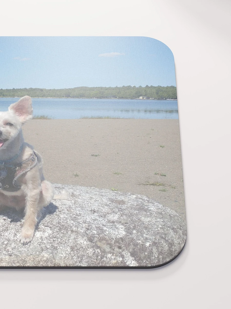 Mozzie At The Lake Mouse Pad product image (6)