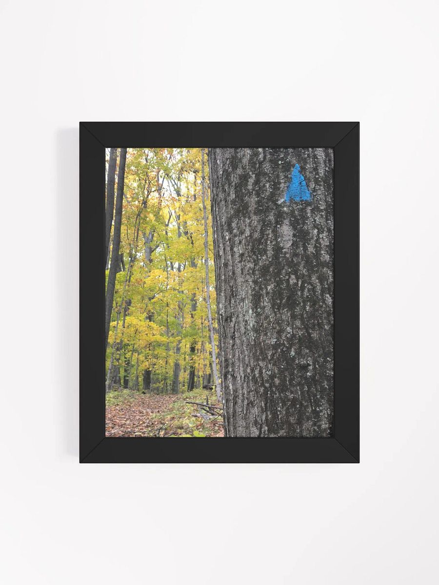 Up Ahead Fall Forest High Quality Matte Poster product image (4)