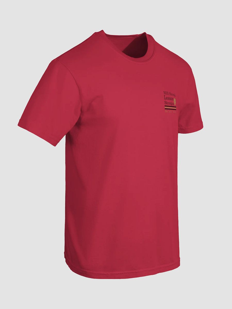 Wifi is Strong, Lesson Stronger, Teacher Student Comfort Colors T-shirt product image (9)