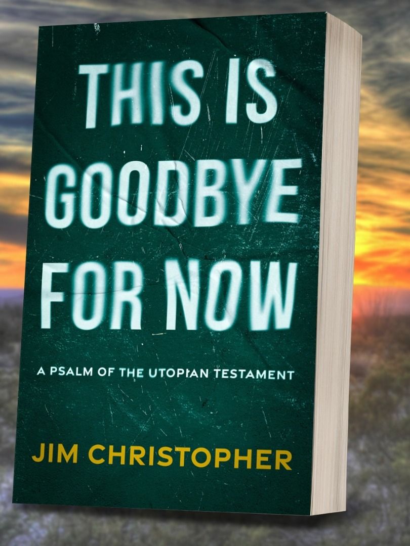 This is Goodbye for Now Paperback (signed) product image (1)