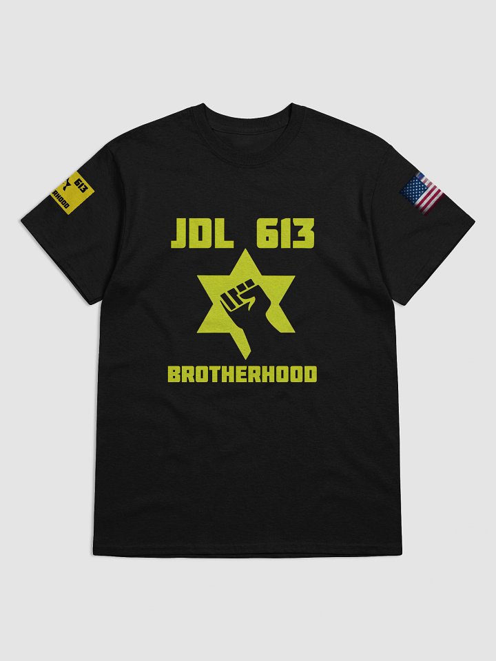 Unity Flags Heavyweight T-Shirt product image (1)