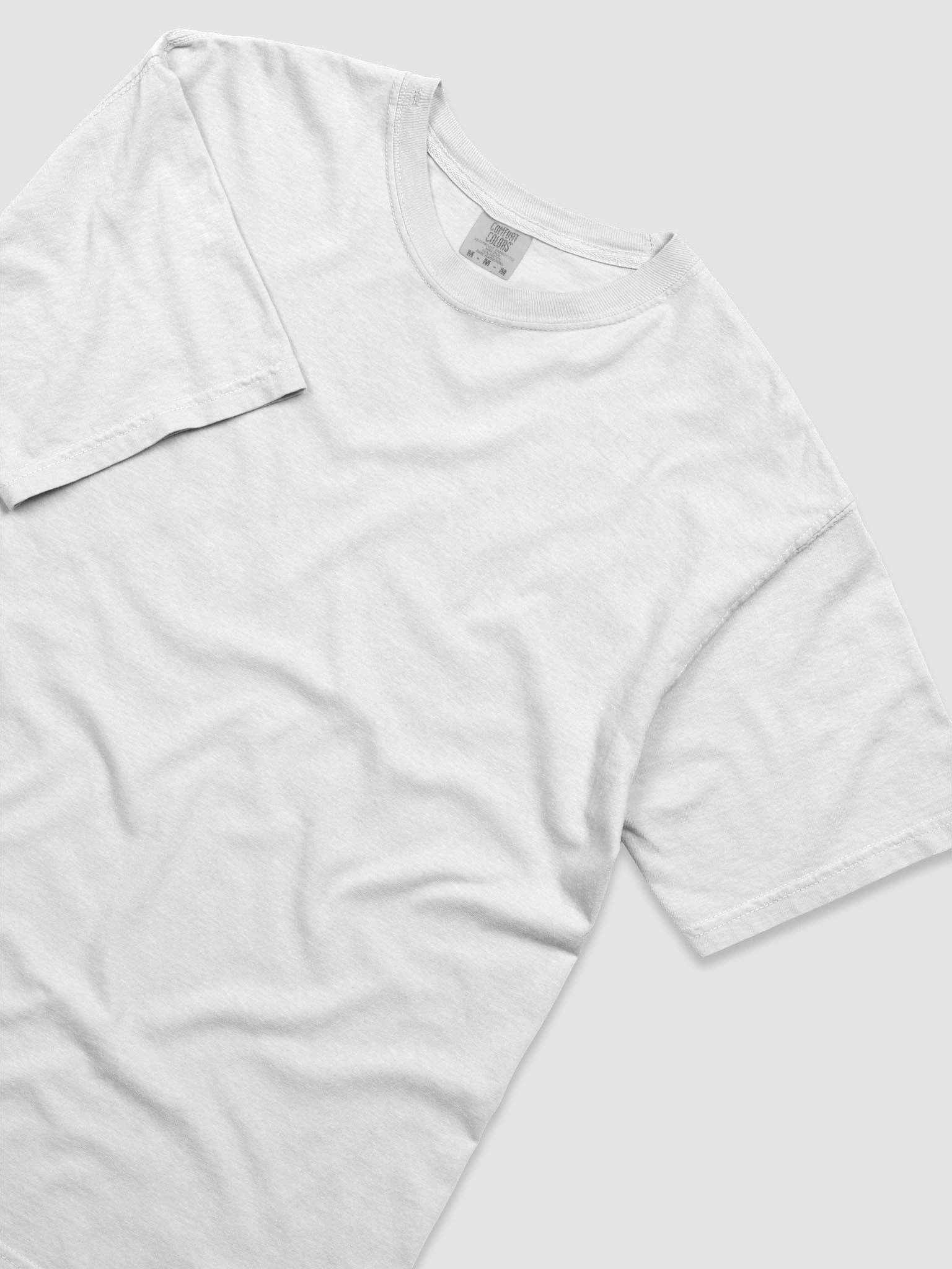 Raptor Roll - Blue and White Shirt product image (5)