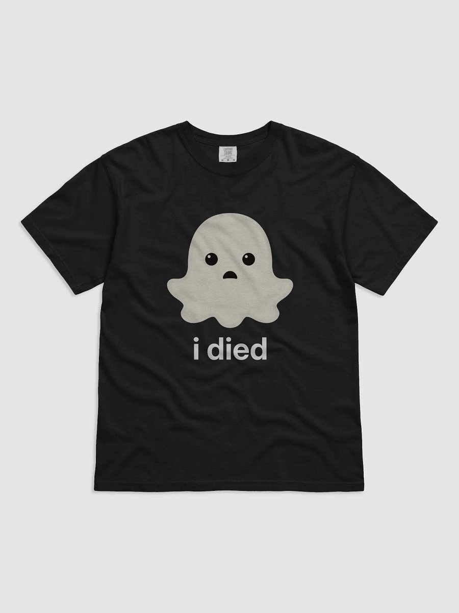 Sad Ghost Heavyweight Tee - Dark Color product image (9)