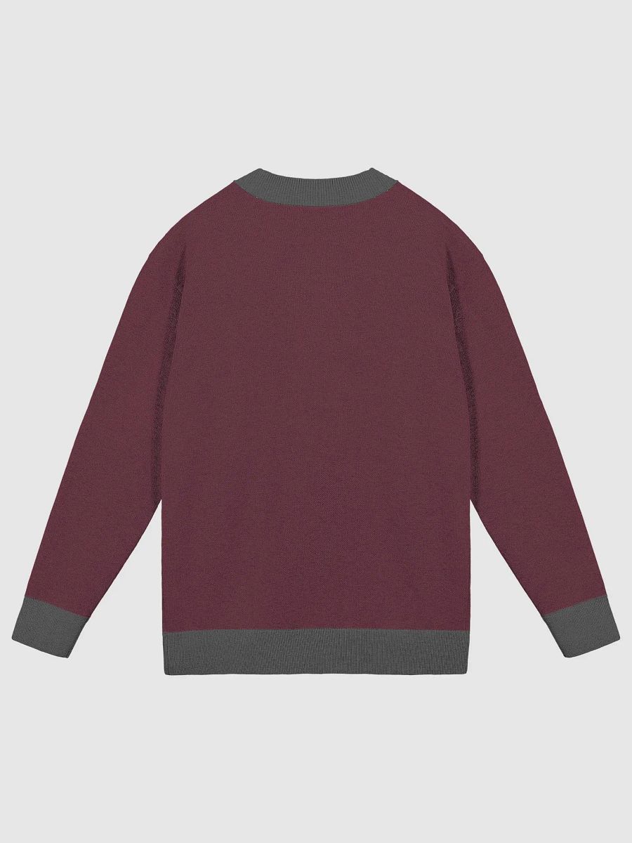 CS Sweater product image (9)