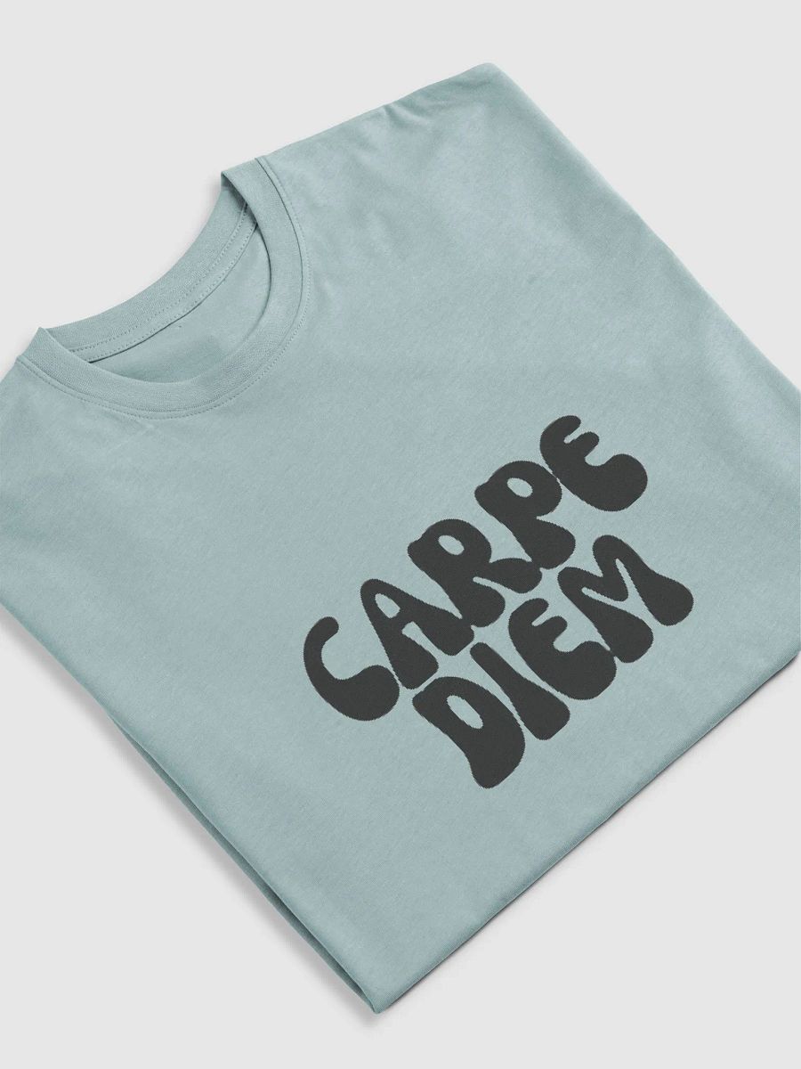 Unisex CARPE DIEM T-Shirt (Heavyweight) product image (14)