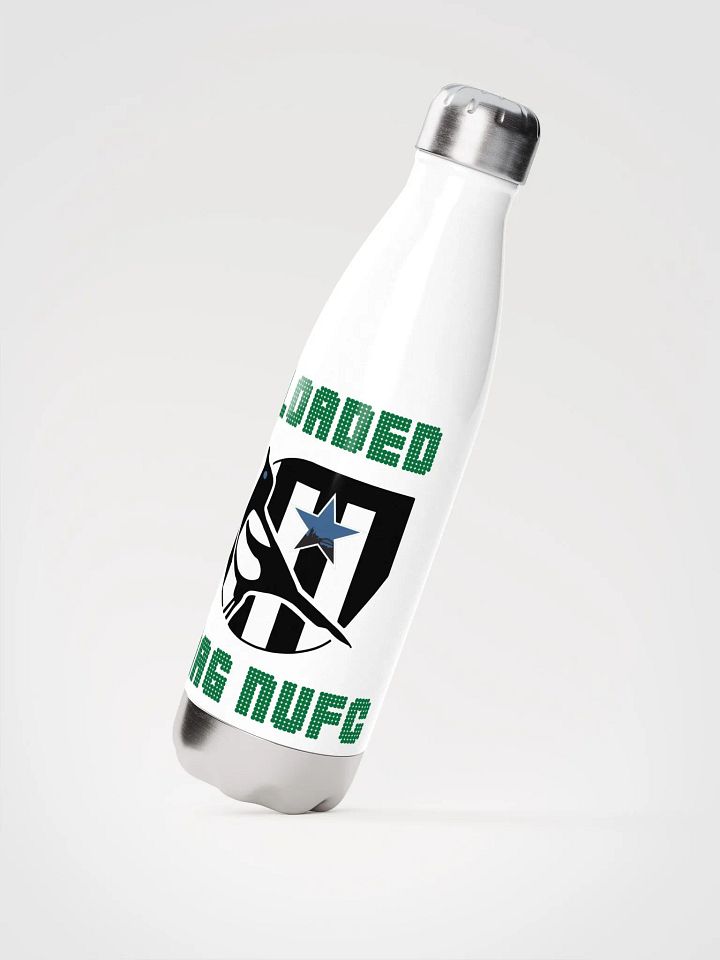 Loaded Glossy Stainless Steel Thirst Quencher product image (2)