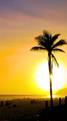 The VIP 
#westlacost #djbeatmaker #artist #explorers #explore #producer #composer