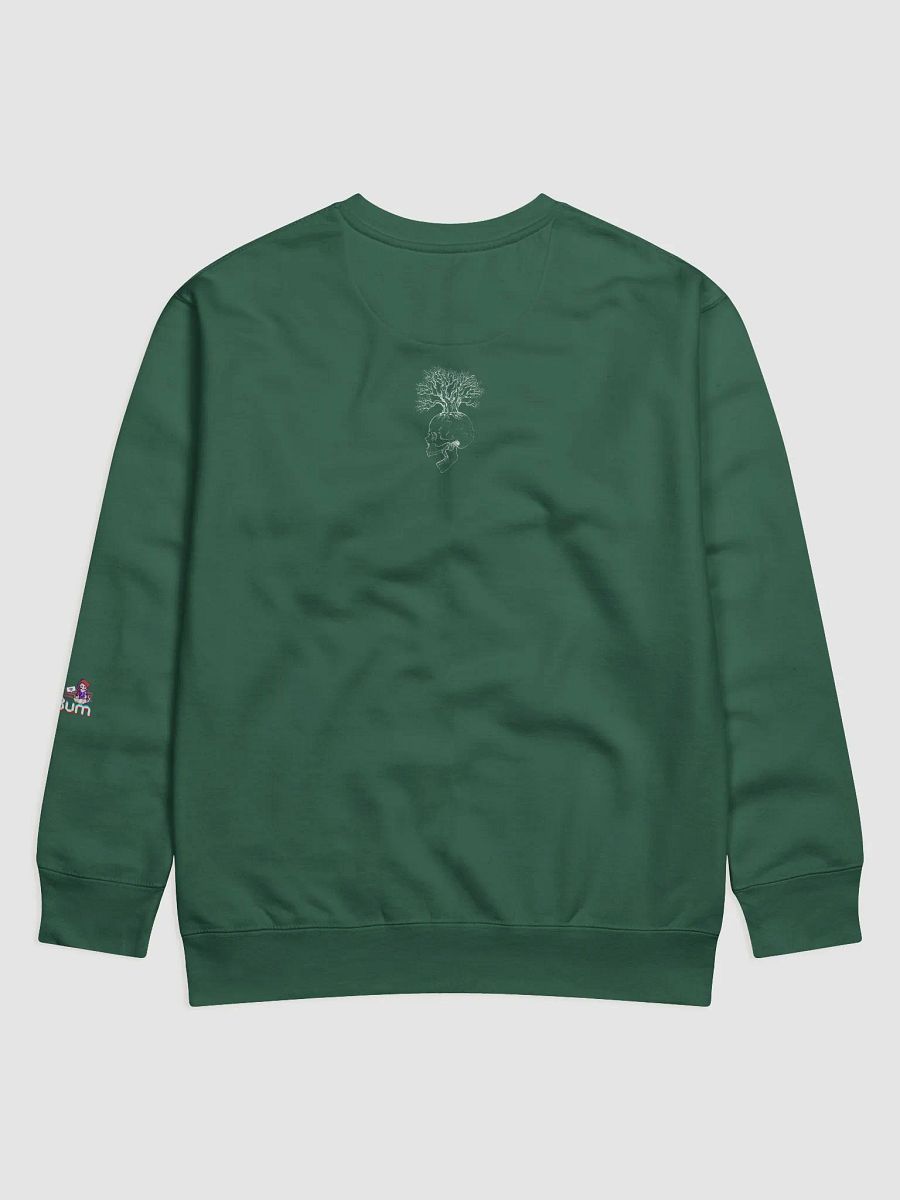 NEURODIVERGENT SKULL premium sweatshirt product image (10)