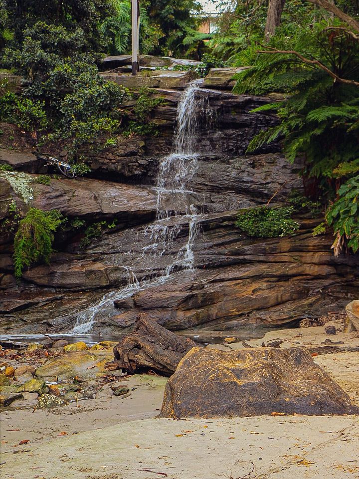 Nature's Hidden Corner product image (1)