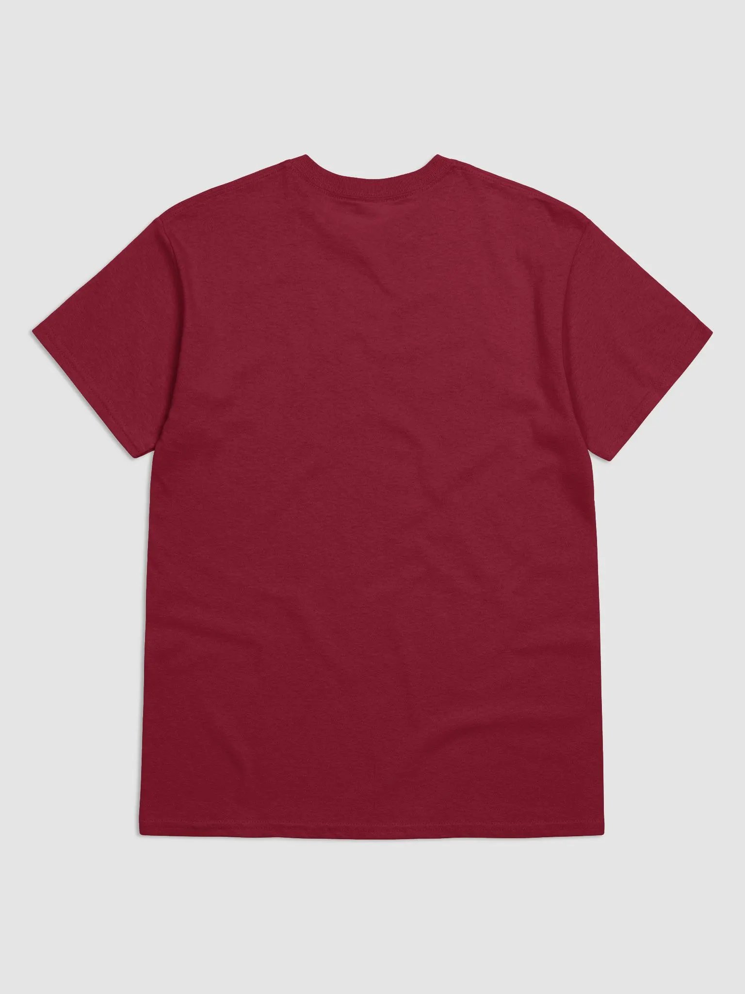 National Dodgeball Association T-Shirt (Light) product image (20)