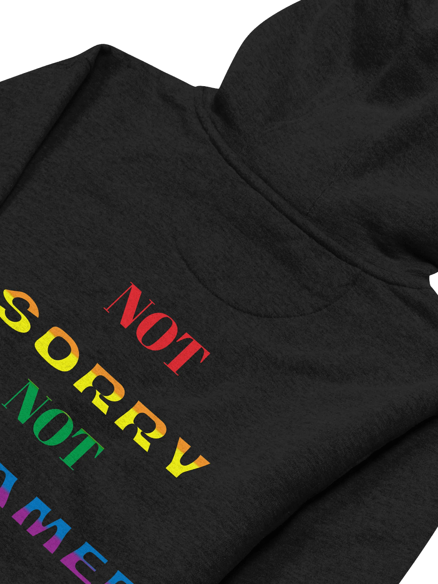 Not Sorry Not Ashamed product image (19)