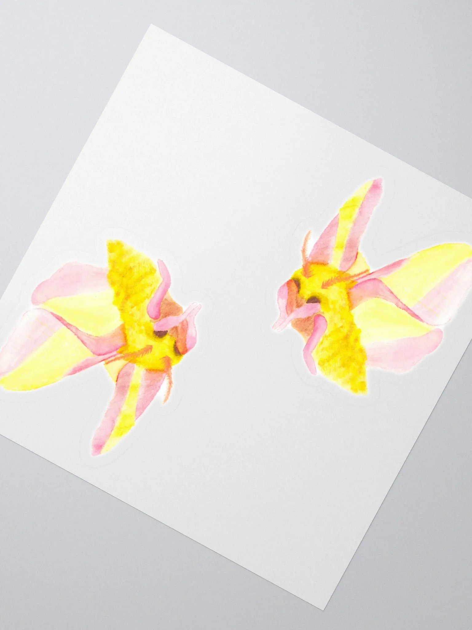 Rosy Maple Moth Sticker (x2) product image (2)