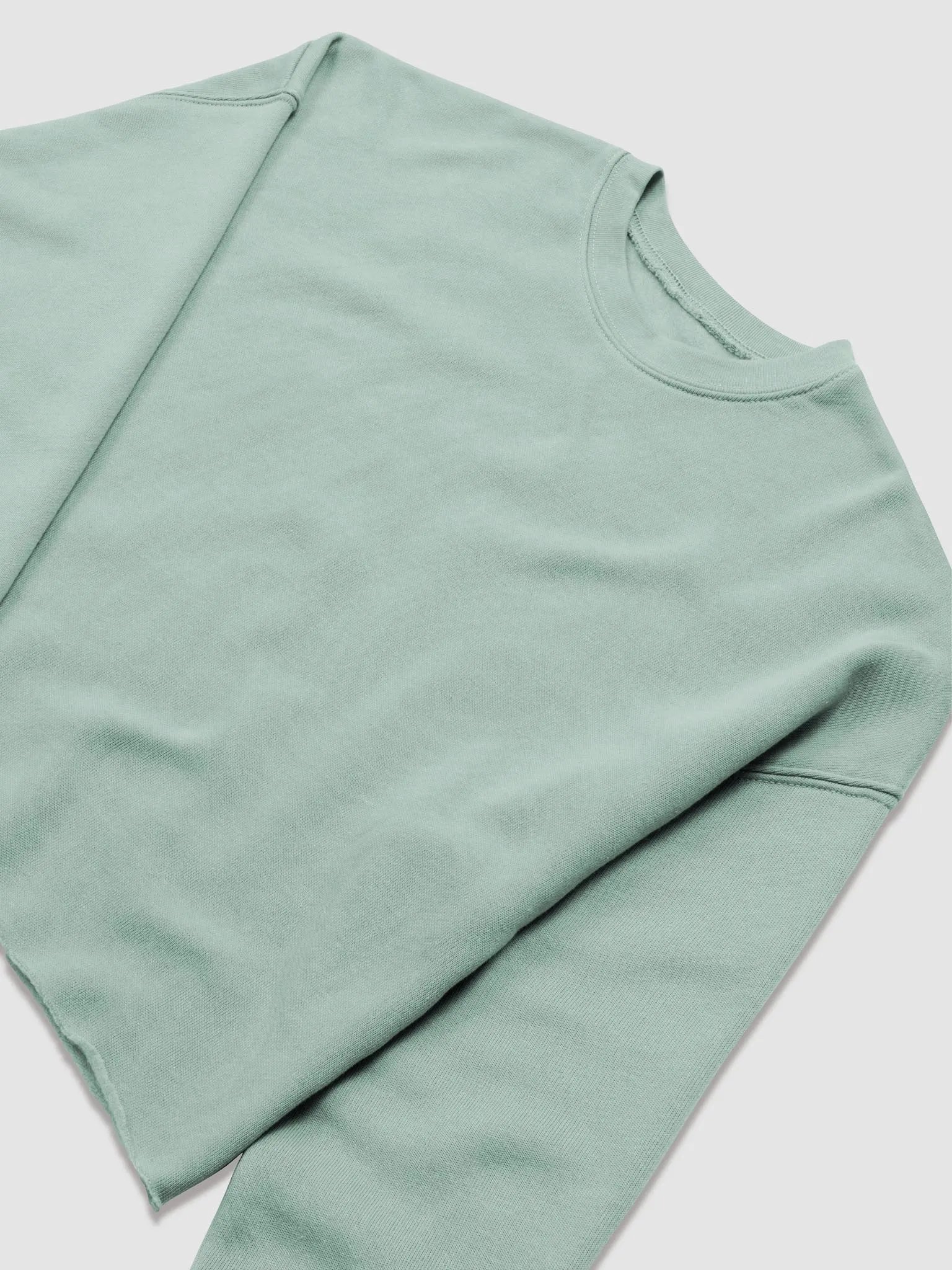 Eagle Women's Fleece Crop Sweatshirt - Stylish with Bold Design product image (7)