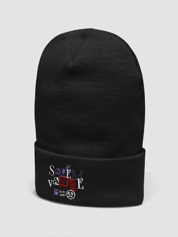LIMITED RELEASE - Bday 2025 Beanie product image (2)