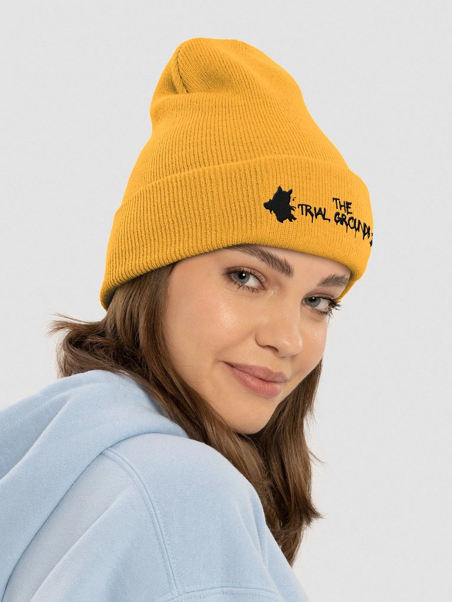 Community beanie product image (13)