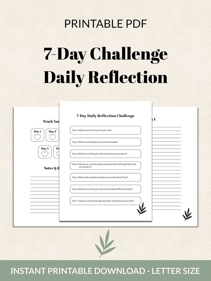 7-Day Daily Reflection Challenge Printable product image (1)