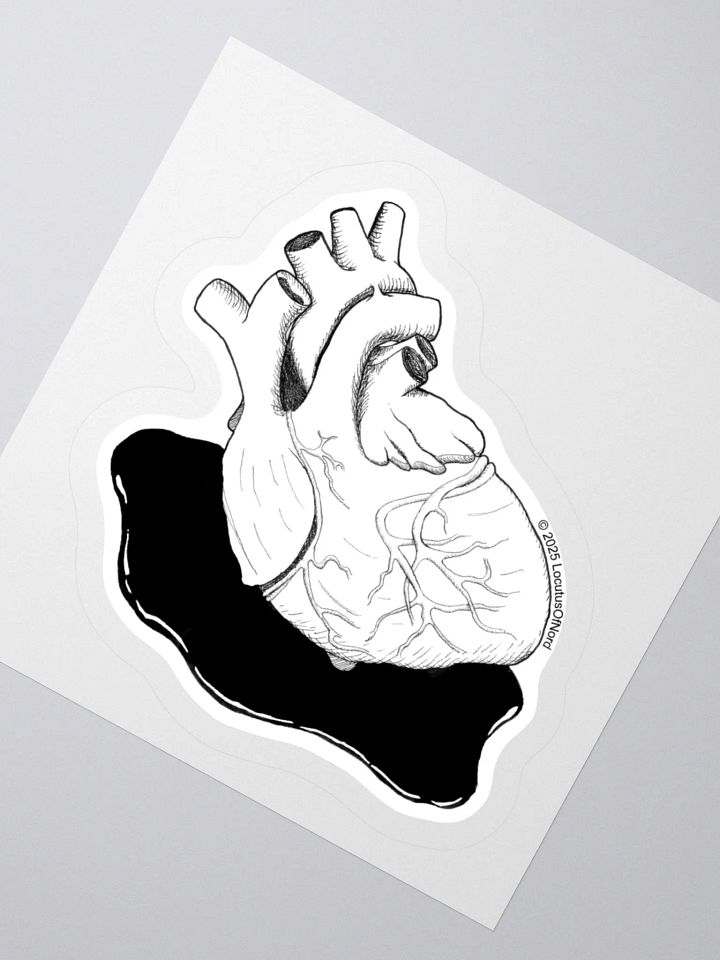Anatomical Heart product image (4)