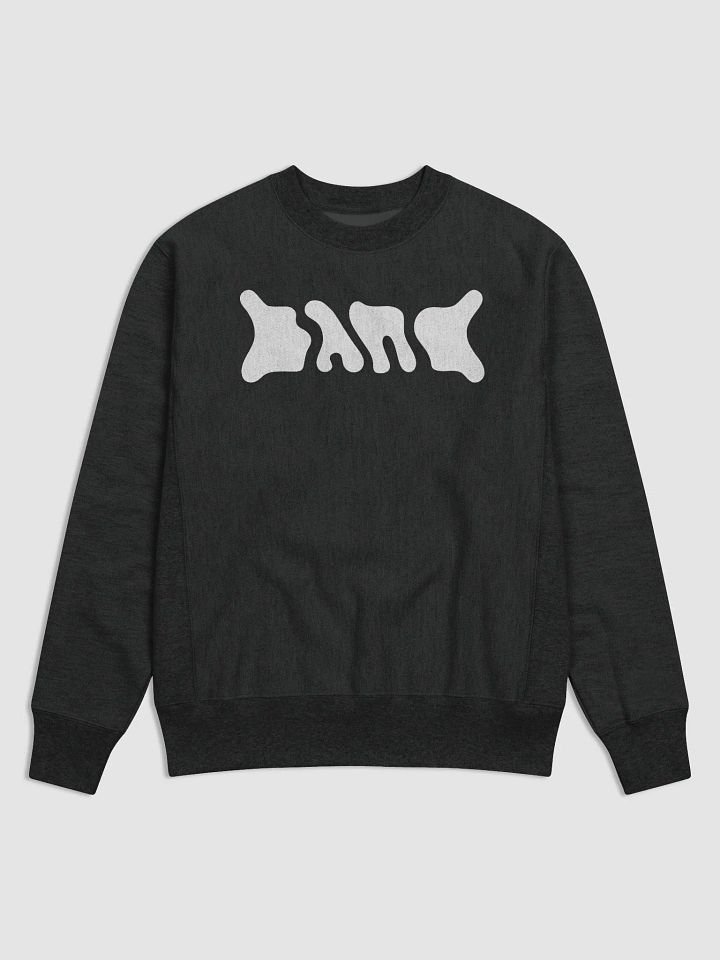 BAND Logo Champion Crewneck product image (1)